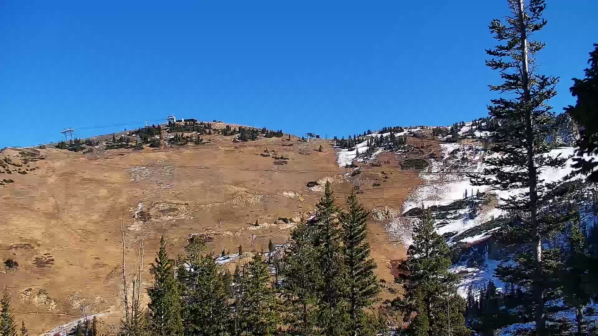 Snowbird - Little Cloud